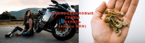 стаф Абаза