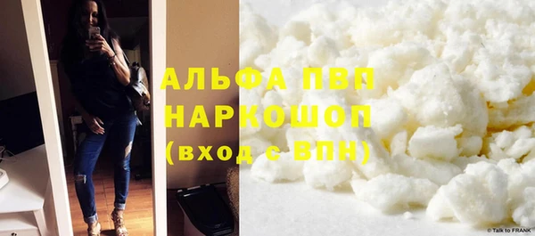 стаф Абаза