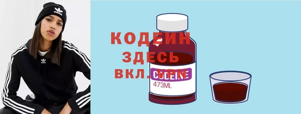 стаф Абаза