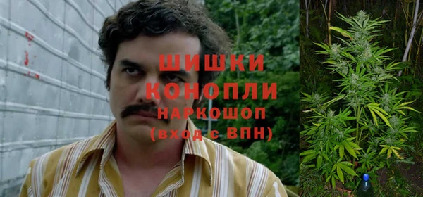 стаф Абаза