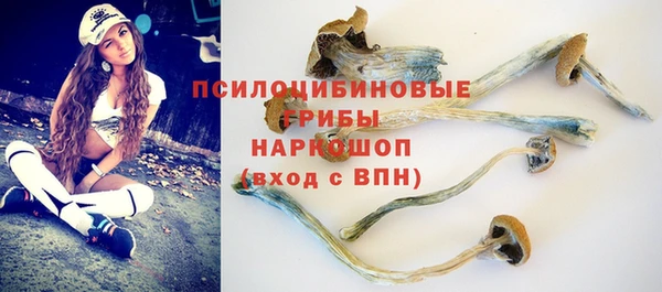 apvp Абдулино