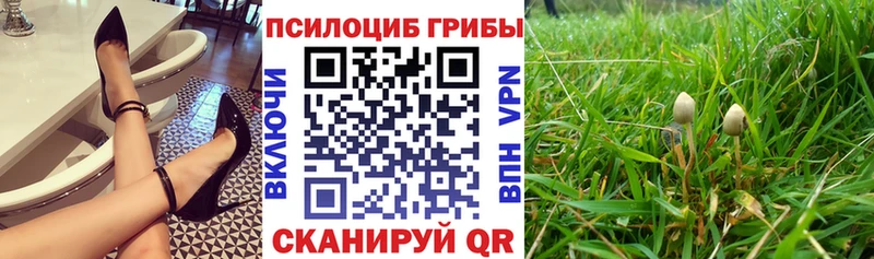 магазин продажи   Керчь  Галлюциногенные грибы мицелий 